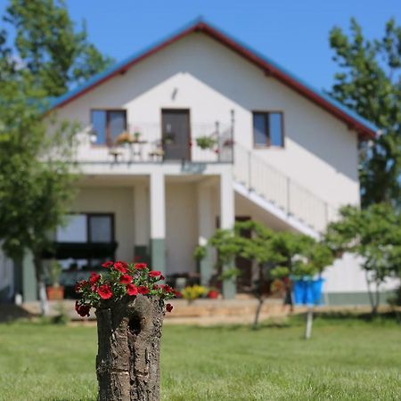 Pensiunea Palaghia Jurilovca Eksteriør bilde
